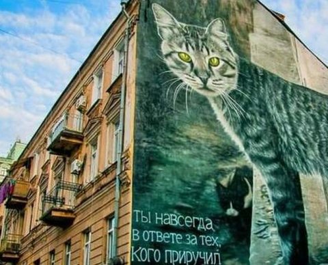 Имущество, которое организация обязана принять безвозмездно, не увеличит налог на прибыль