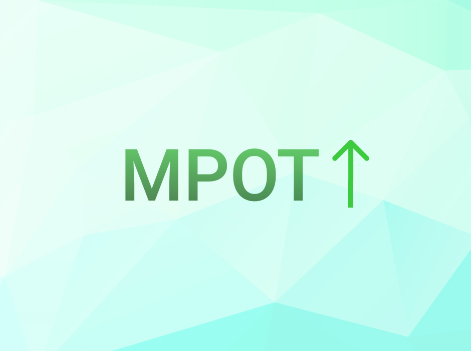 Путин предложил увеличить прожиточный минимум и МРОТ