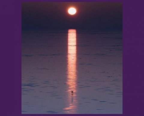 Действие региональных льгот по налогу на прибыль продлено на год - закон подписан