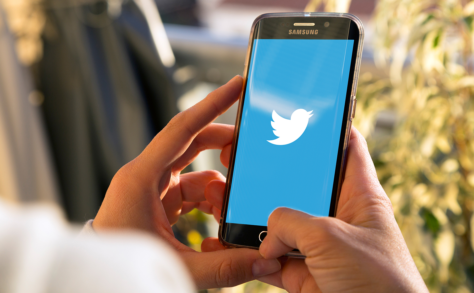 Apollo Global рассматривает возможность участия в тендере на Twitter