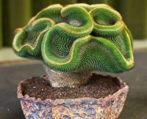 Сегодня в полдень - "круглый стол" для аудиторов о резервах и активах госсектора