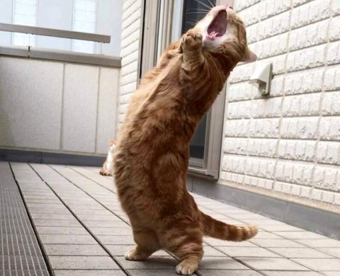 Наиболее важные новости недели 18-22 октября 2021 года