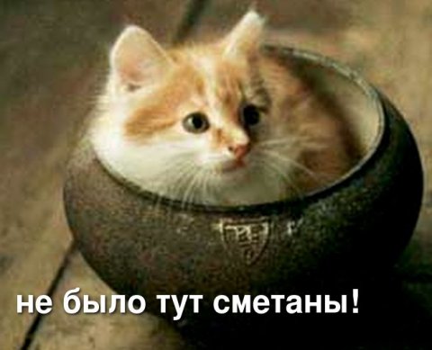 Минфин вводит в действие в РФ еще одну порцию обновленных МСА