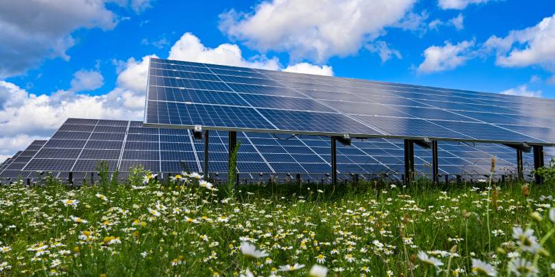 Голландский пенсионный фонд продал все вложения в ископаемое топливо