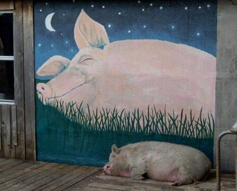 Падение чистых активов ниже уставного капитала по итогам 2022 года можно будет игнорировать