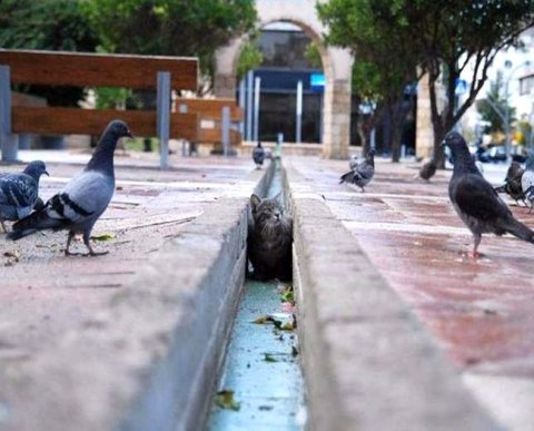 Появился сервис для малого бизнеса, пострадавшего от проверок контролирующих органов