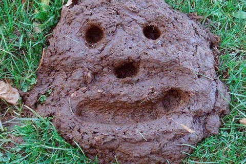 Производители удобрений в России просят снизить им ставку НДС вдвое