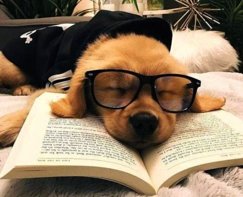 Совет по аудиторской деятельности позаседал в последний раз