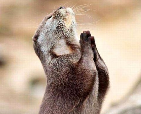 Проект дисциплинарного кодекса СРО: штрафы для фирм смягчены заметнее, чем для людей