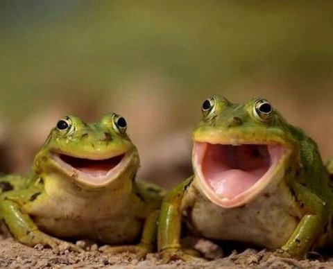 При АУСН информировать банк о зарплатах надо будет с кодами доходов и вычетов