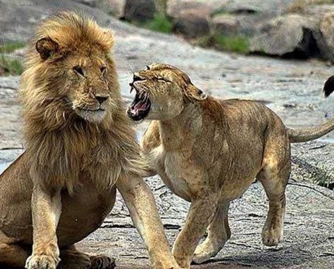 Штрафовать нельзя помиловать: при "валютных" нарушениях налоговики должны учесть всё