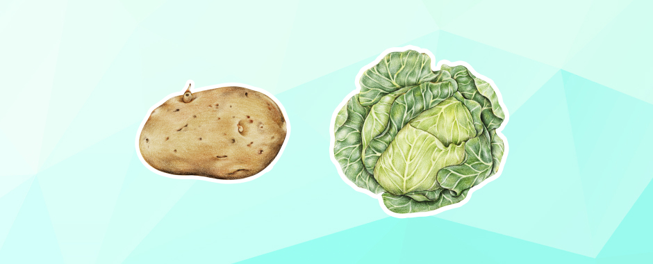 Цена растет, а количество падает: что будет с картофелем и капустой в России.