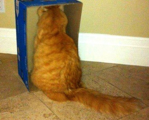 Как заполнять декларацию по УСН за этот год, если уложились во все лимиты