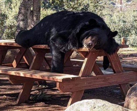 Завтра и послезавтра пройдут два онлайн-мероприятия для аудиторов