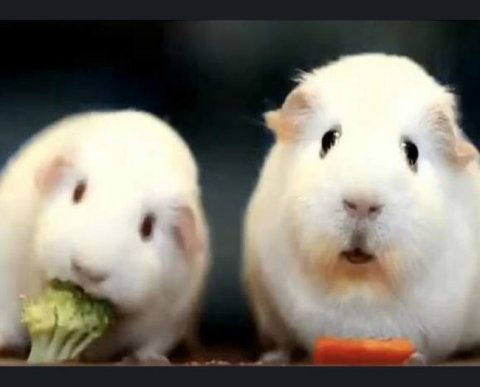 Надо ли малому бизнесу применять новый МРОТ в целях льготных тарифов взносов