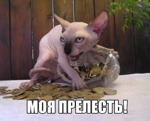 ФНС рассказала о возврате НДФЛ с матвыгоды, в том числе, что делать налоговому агенту