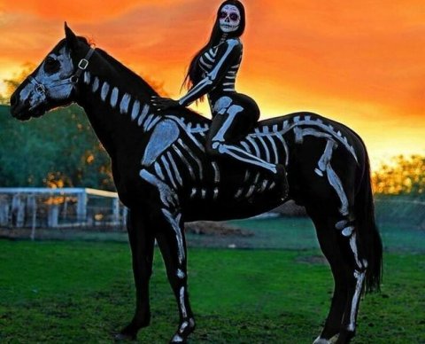 Минфин обобщил недавние изменения, касающиеся аудиторской деятельности