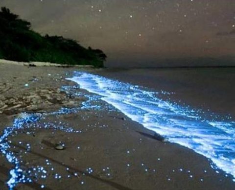 ФСБУ "Нематериальные активы" заменит собой ПБУ с отчетности за 2023 год - проект