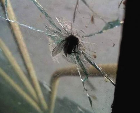 Хрупкая процедура ликвидации: как ей могут помешать несуществующие долги