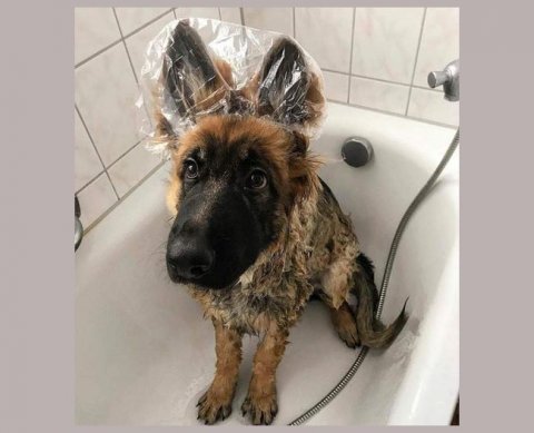 Завтра пройдет "антиотмывочный" вебинар, за который аудитор может получить "корочку"