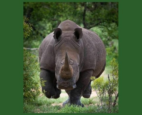 Что необходимо для снижения несоразмерных штрафов за опоздание с СЗВ-М