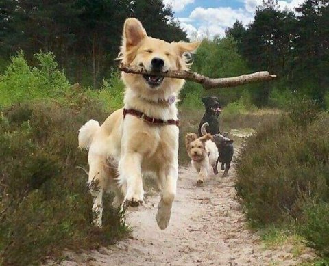 Регион снизил ставку для УСН "доходы-расходы": платить ли минимальный налог