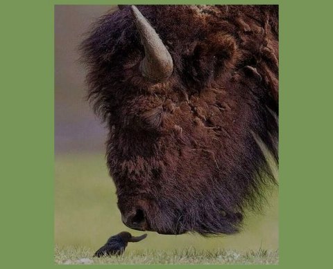 Путин поручил повысить доходы для ПСН и УСН, а также - для отнесения к малому бизнесу