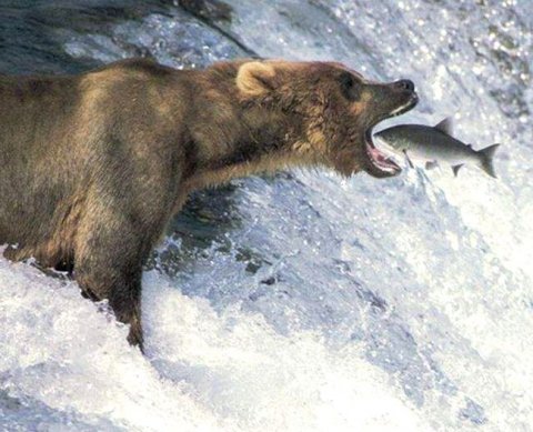 Контрагенту срезали расходы - можно подправить свои доходы более поздним периодом