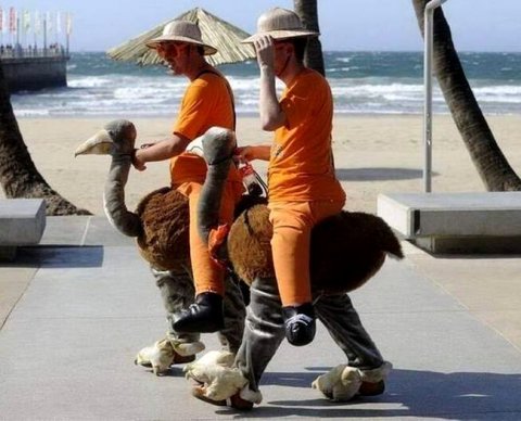 Вводится понятие "сомнительная валютная операция", расширяются полномочия банков