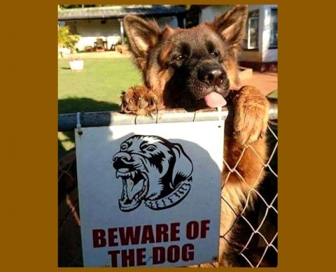 Минфин расшифрует, что обеспечивает уверенность в нефинансовой информации