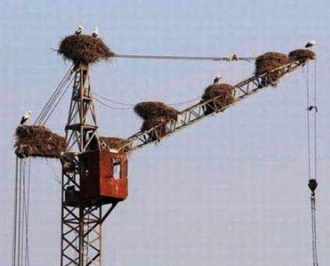 Когда надо выставить счет-фактуру по строительно-монтажным работам