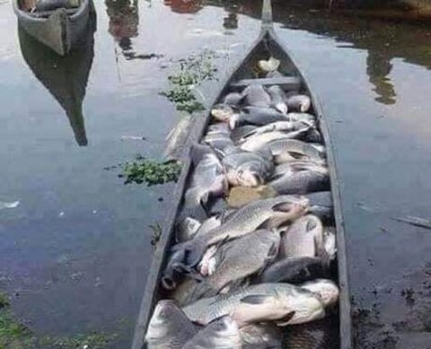 Появилась форма уведомления об исчисленном налоге для тех, кто перейдет на ЕНП