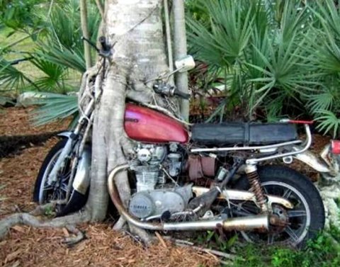 Малым и средним организациям будет предоставлено право на упрощенную ликвидацию