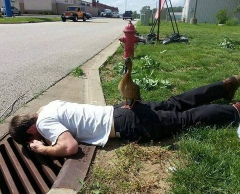 Принятым сегодня законом вводятся послабления в отношении контролируемых сделок