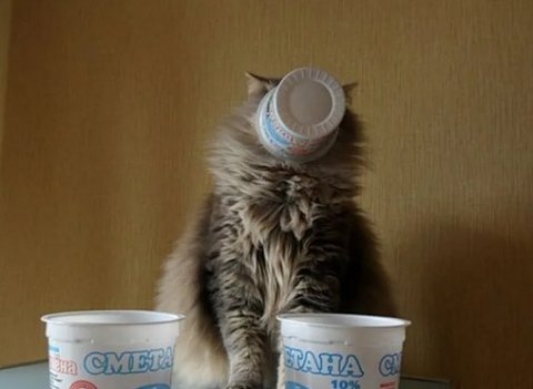 Ретейлеры попросили ослабить налоговую нагрузку на торговые сети