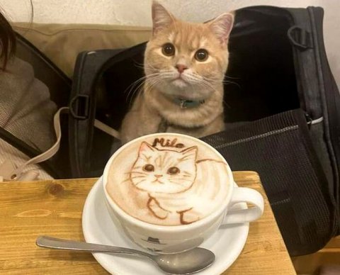 Электронный чек можно найти в приложении ФНС - можно подтвердить расходы