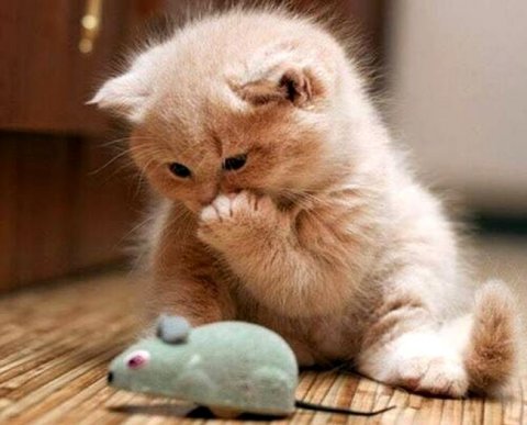 Утверждена новая форма расчета 6-НДФЛ: доход надо указывать только выплаченный