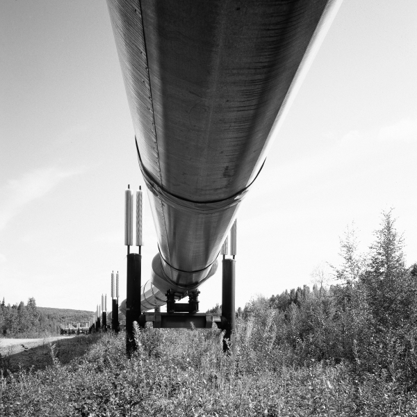 аудит молдовы