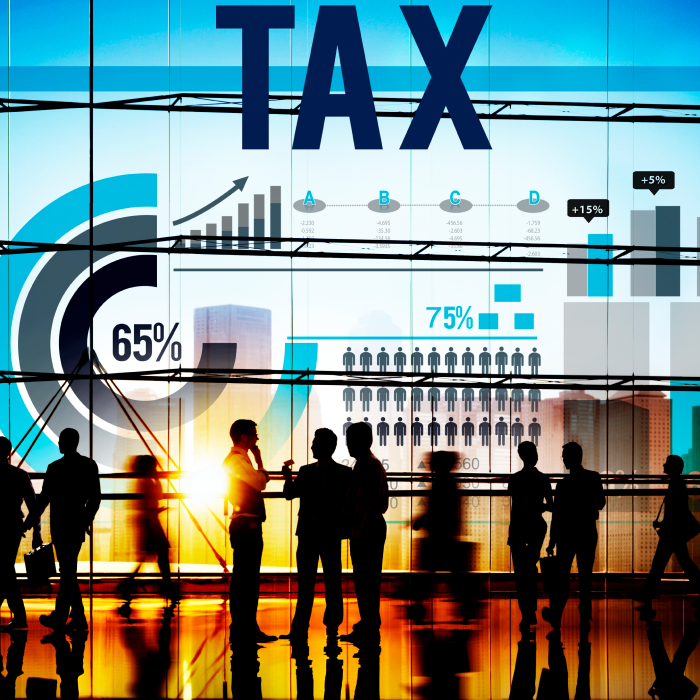 Критика налогооблажения
