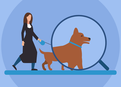 ВС одобрил уголовку для судьи, которая помогала коллеге искать собаку