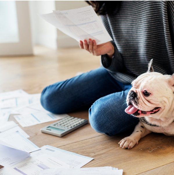 Долги и работа