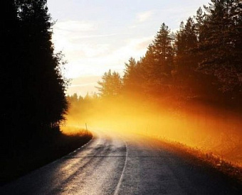 Госдума приняла законы о праве правительства продлевать сроки уплаты налогов