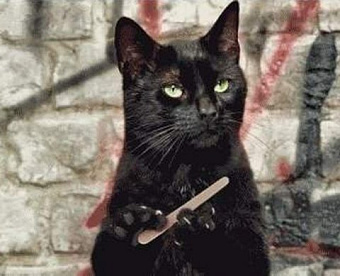 ЦБ готовится формировать реестр аудиторских организаций для ОЗО на финрынке