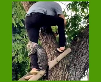 Установлены тарифы на "несчастное" соцстрахование на следующие годы