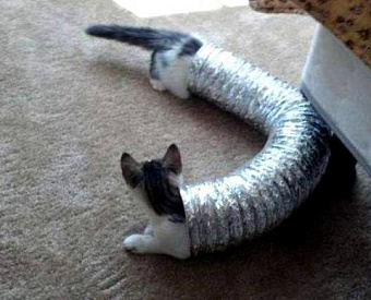 Наиболее важные новости недели 28 марта - 1 апреля 2022 года