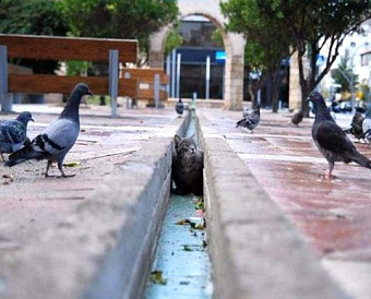 Появился сервис для малого бизнеса, пострадавшего от проверок контролирующих органов