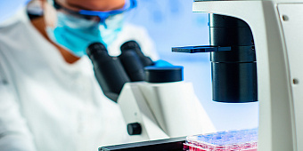 Фонд геномики Кэти Вуд потерял $520 млн на фоне снижения доходности