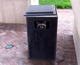 До 1 октября аудиторам надо сдать в Минфин форму № 5-аудит за прошлый год