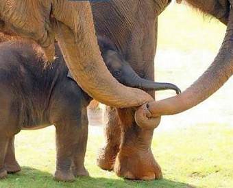 Наиболее важные новости недели 11 - 15 июля 2022 года