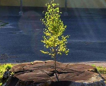 4 мая истекает срок сдачи 6-НДФЛ и РСВ за I квартал 2022 года